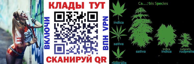 Купить закладку Каннабис АМФ ГАШ БУТИРАТ СОЛЬ Мефедрон Таруса
