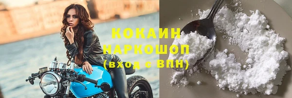 стаф Мегион