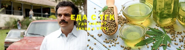 дурь Магас