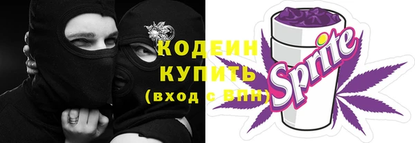 стаф Мегион
